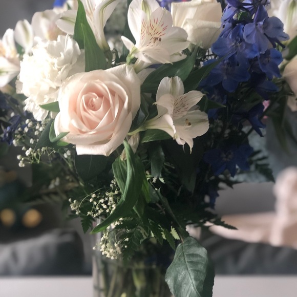 Meet your Posher, Corinna - Picture 2 of 2